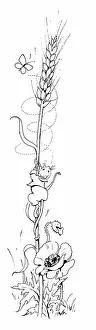 Barley: Mouse on barley stalk and butterfly