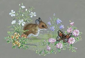 Harebells: Mouse and Butterfly with wild flowers