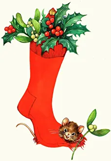 Sock: Mouse in a Christmas sock