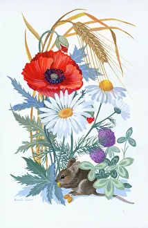 Grains: Mouse eating grains