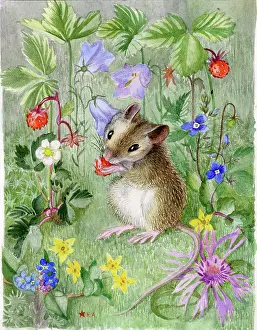 Creeping: Mouse eating a wild strawberry