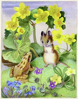 Heda: Mouse and Frog with Kingcups