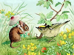 Goldcrest: Mouse and Goldcrest