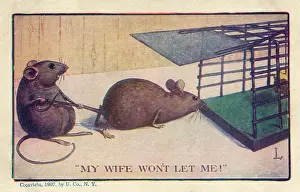 Tempting: Mouse held away from Mousetrap
