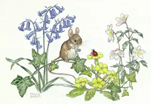 Windflowers: Mouse on ivy looking at ladybird on primrose