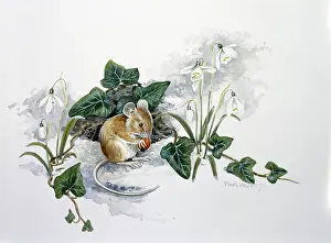 Hewitt: Mouse with Nut in Patch of Ivy