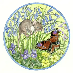 Medici Society (molly Brett): Mouse and peacock butterfly, with bluebells and primroses