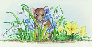 Scillas: Mouse Peeping through Flowers