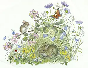 Harebells: Mouse, rabbit, butterfly and ladybird with daisies