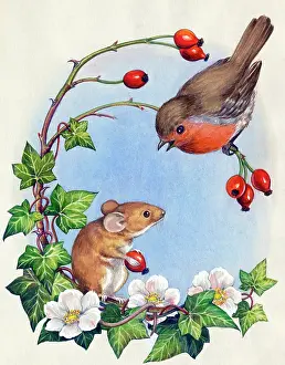 Mouse & Robin with ivy, hips & Christmas roses