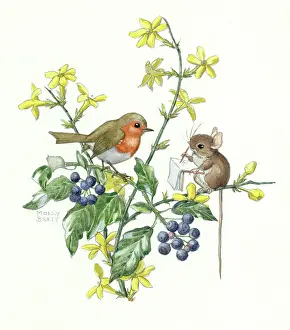 Sketching: Mouse sitting on winter jasmine sketching robin
