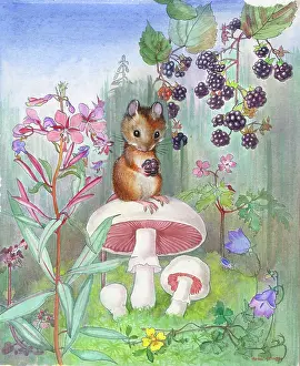 Blackberries: Mouse on a toadstool with a blackberry
