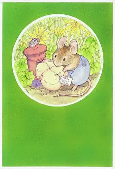Addressed: Mouse trying to post a Parcel