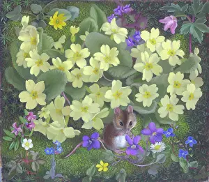 Heda: Mouse among wild spring flowers