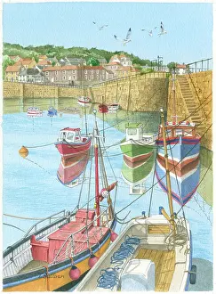 Gulls: Mousehole - Cornish Harbour with boats