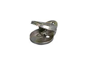 Mousetrap: Mousetrap
