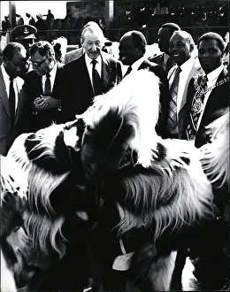 Kibaki: Movements - Organizations