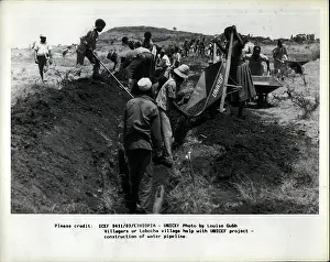 Unicef: Movements - Organizations