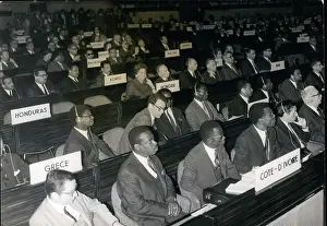 Unescos: Movements - Organizations