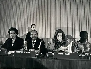 Amadou: Movements - Organizations