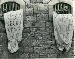 Defiance: Movements - Organizations