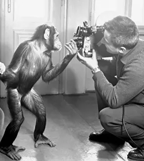 Oldrich: Movie making - cinematographer - chimp