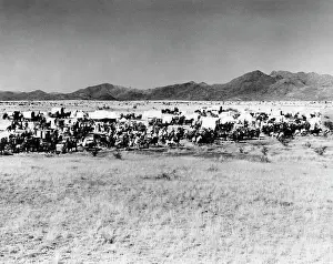 Horde: MOVIE STILL OF THE STARTING LINE OF OKLAHOMA