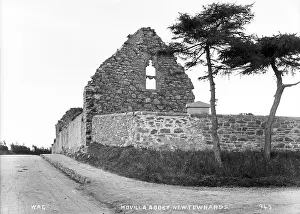 Newtownards: Movilla Abbey, Newtownards