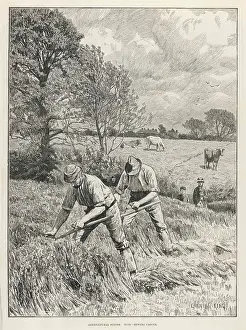 Scythes: MOWING CLOVER