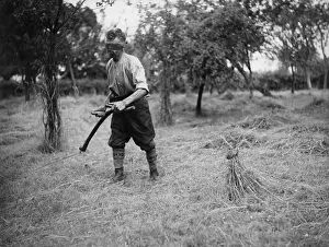 Scything: MOWING THE COCK'S HEAD