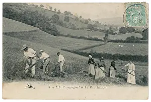 Mowing: MOWING HAY, 1907