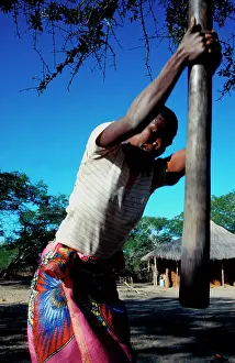 Mealies: Mozambique, Maputo province - stamping maize, 1999africa/moz