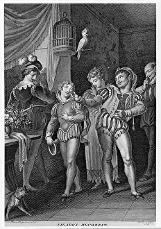 Expect: Mozart - Nozze Di Figaro