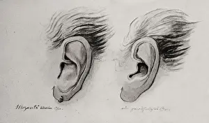 Mozarts: Mozart?s ear