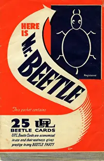Beetles: Mr Beetle Party Game