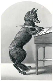 Cunning: Mr Fox the Lawyer