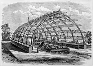 Conservatories: Mr Messenger's conservatory
