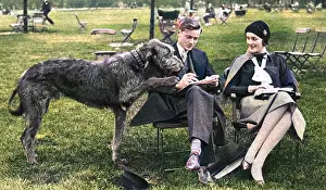 Mitfords: Mr and Mrs Bryan Guinness with their Irish Wolfhound