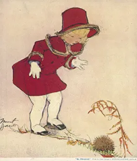 Curled: Mr Prickles by Muriel Dawson