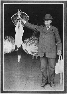 Mr. Roosevelt's Turkey
