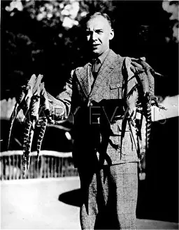 Rears: MR ROSSTER & CROCODILES
