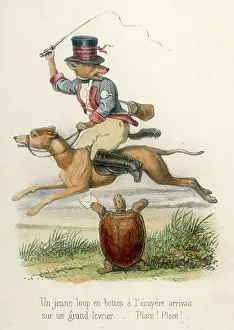 Tortoises: MR WOLF IN A HURRY