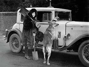 Esquimaux: Mrs. Bruce preparing for expedition