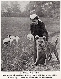 Grange: Mrs Cogan and her pet hyena