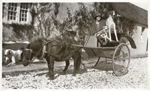 Mrs K McNeil of Glasgow with three Borzois