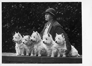 Wolvey: MRS PACEY AND DOGS