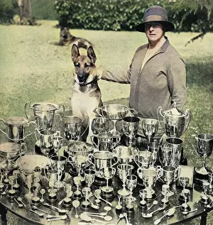 Soham: Mrs Thornton - breeder of champion Alsatians