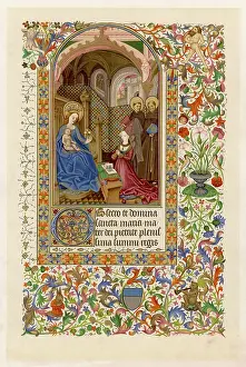 Piedmontese: MS - PIEDMONTESE BOOK