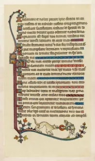 1284: MS - PSALTER 1284
