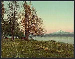C1901: Mt. Hood from the Columbia River